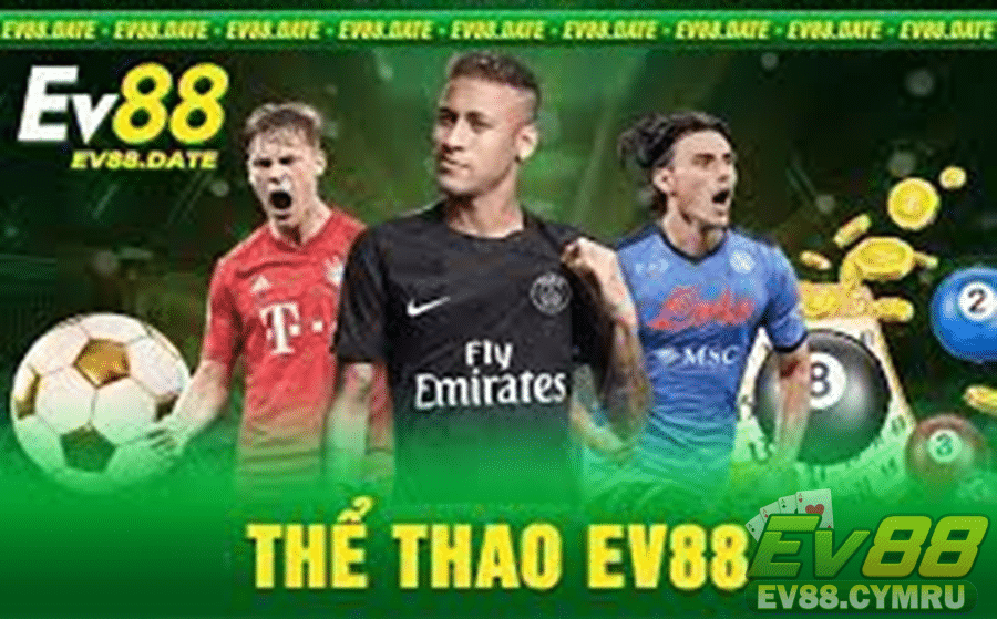 Danh sách các môn thể thao phổ biến tại thể thao trên EV88 đa dạng