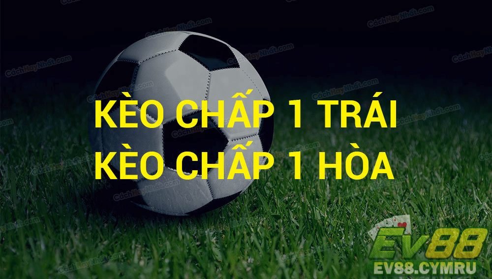Giải đáp thông tin về kèo 1 hòa trong bóng đá cho tân thủ