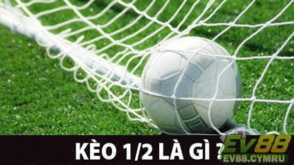 Ý nghĩa của con số 1 1/2 trong kèo cá cược
